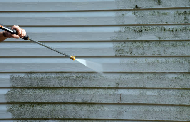 Best Professional Mold Removal  in Justice, OK