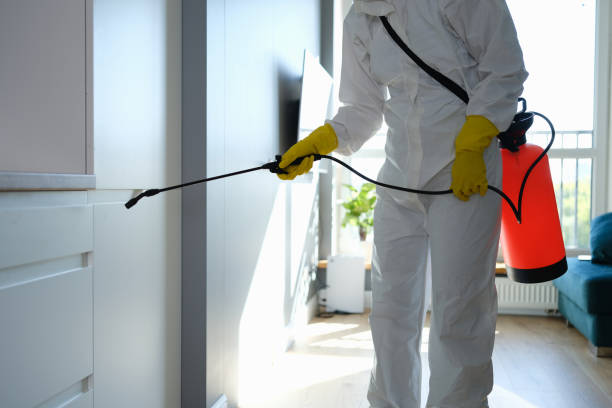 Justice, OK Mold Removal Company